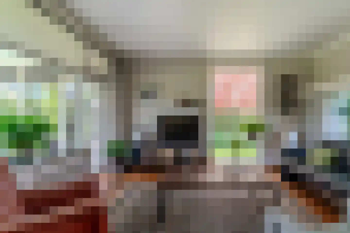 Nieuwe Komstraat 37 Lobith thumbnail 19