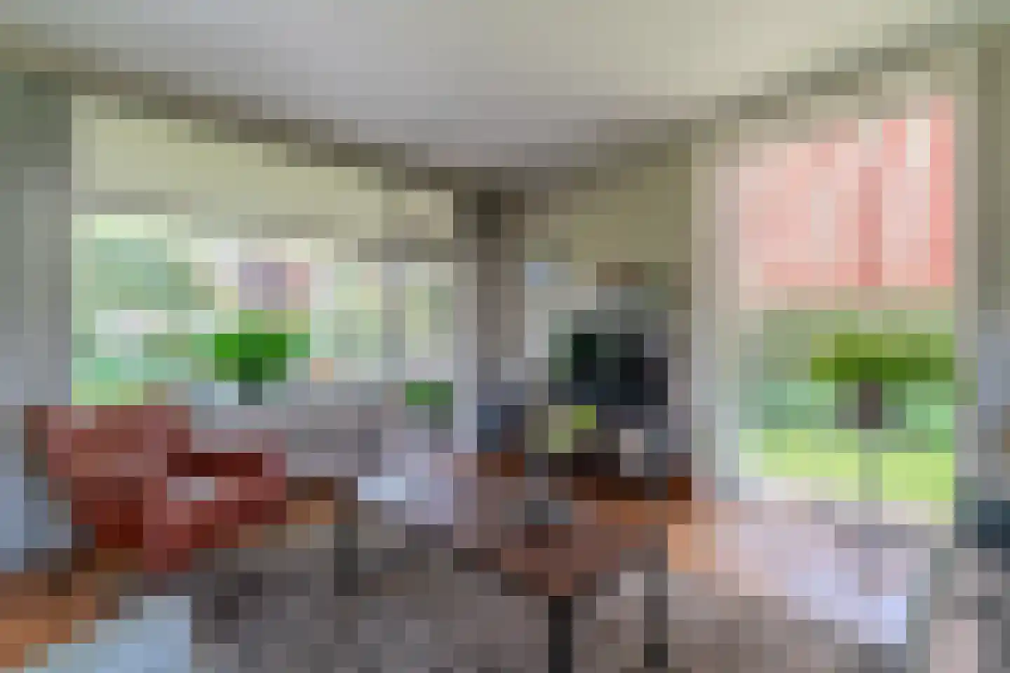Nieuwe Komstraat 37 Lobith thumbnail 20