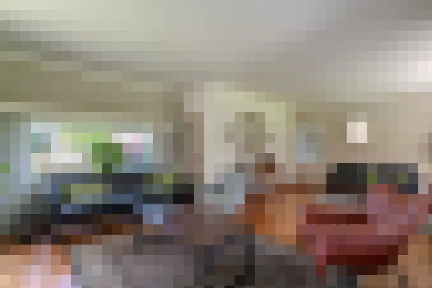 Nieuwe Komstraat 37 Lobith thumbnail 21