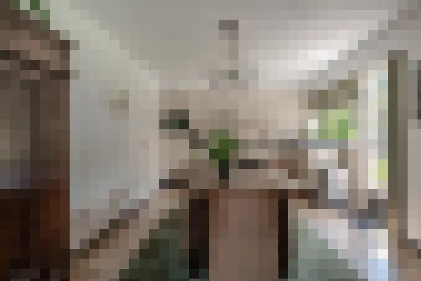 Nieuwe Komstraat 37 Lobith thumbnail 27