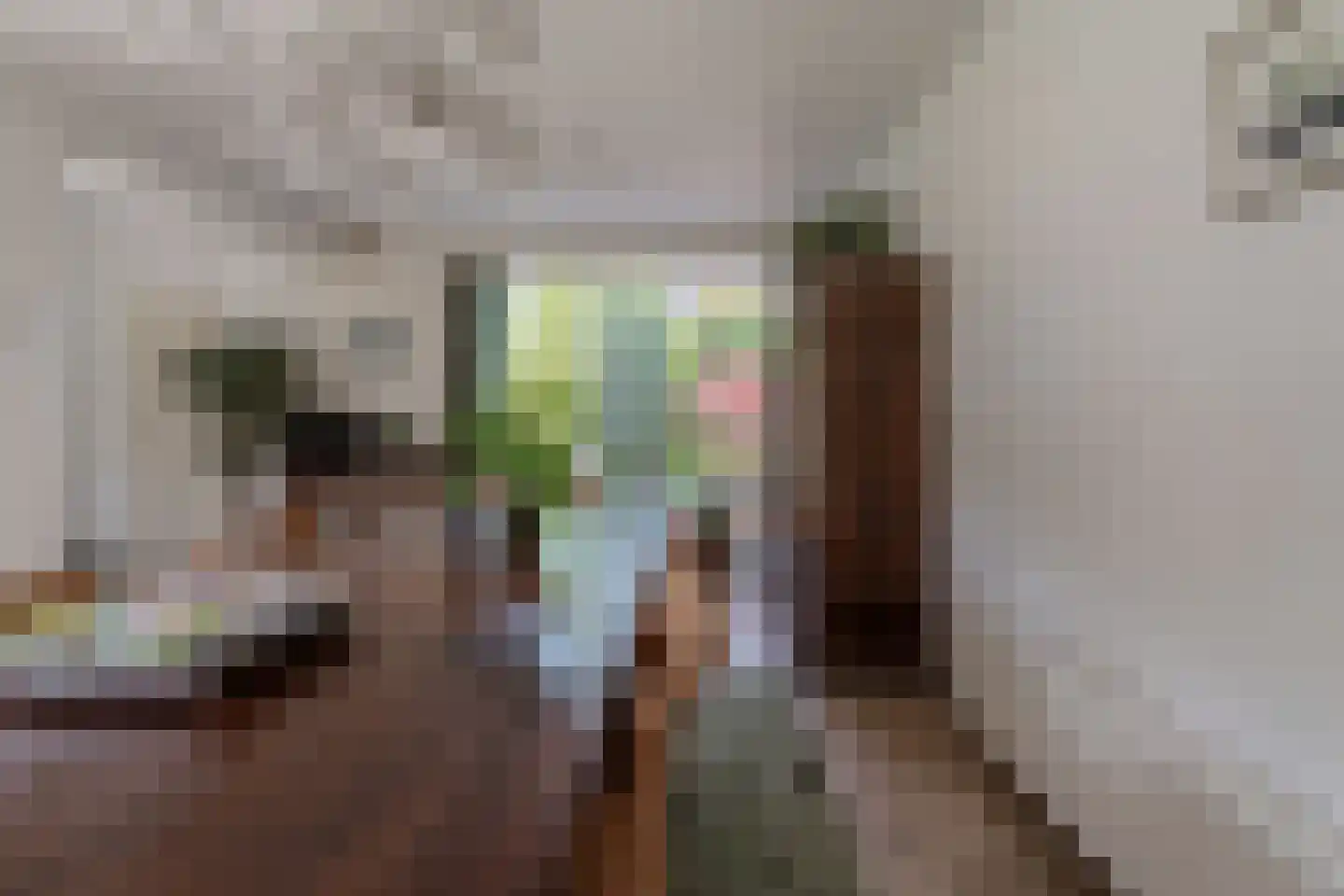 Nieuwe Komstraat 37 Lobith thumbnail 28