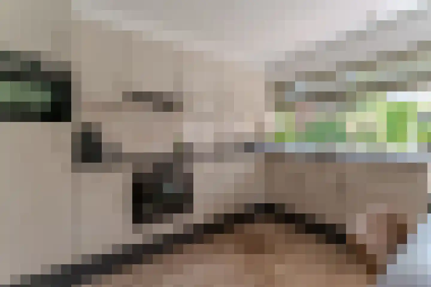 Nieuwe Komstraat 37 Lobith thumbnail 30