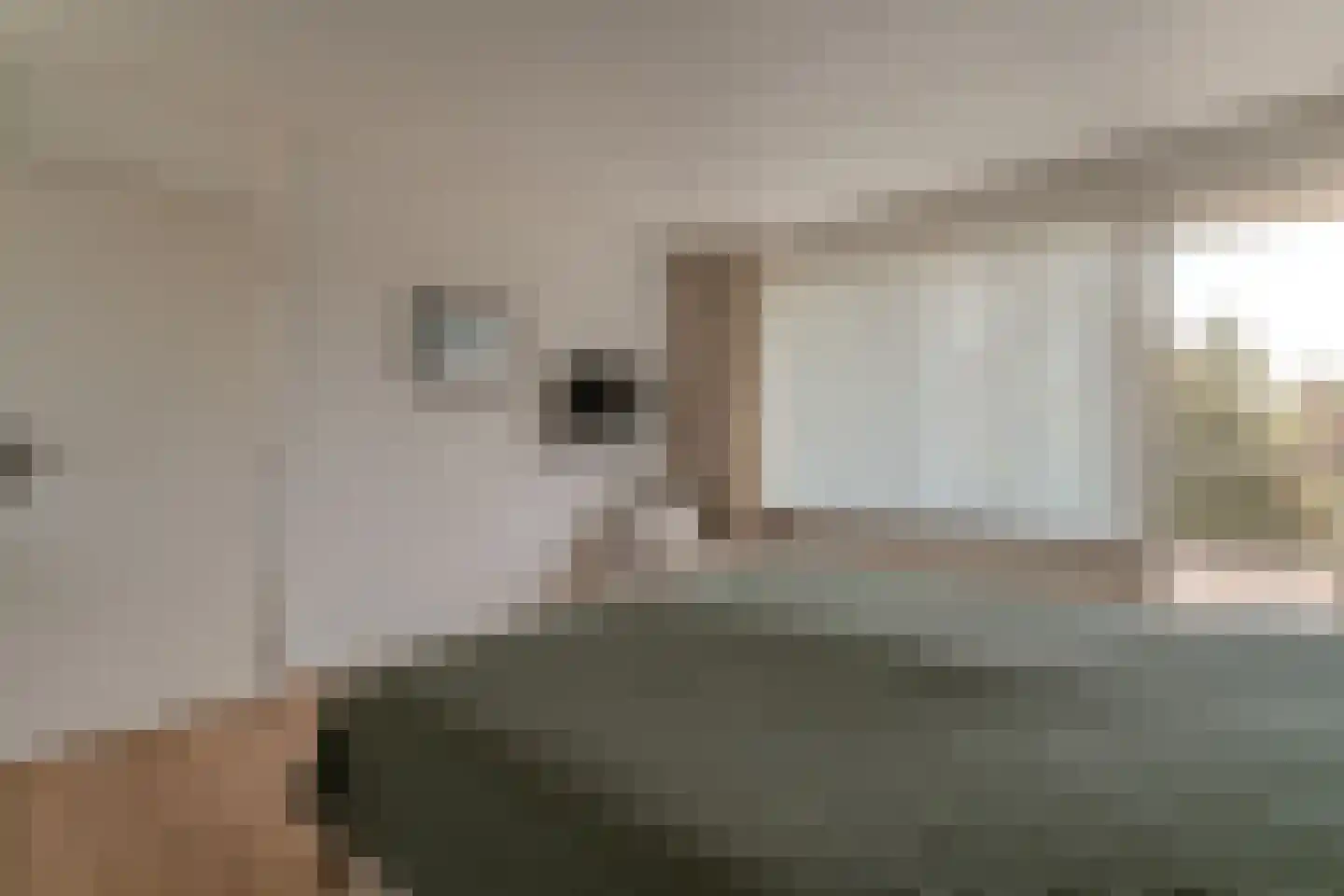 Nieuwe Komstraat 37 Lobith thumbnail 40