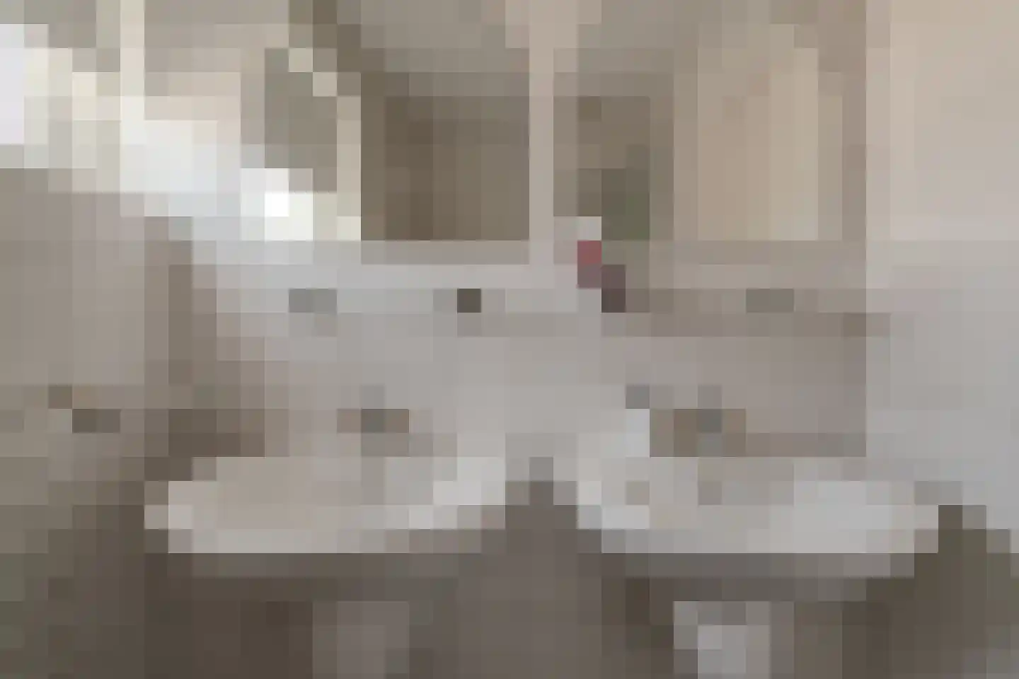 Nieuwe Komstraat 37 Lobith thumbnail 51