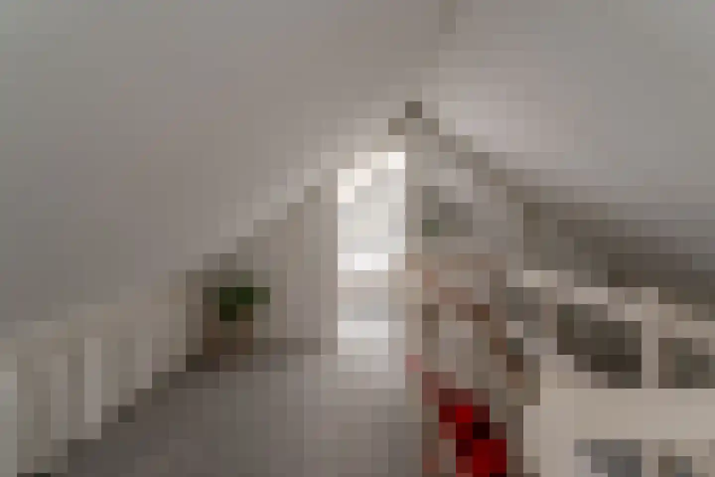 Nieuwe Komstraat 37 Lobith thumbnail 53