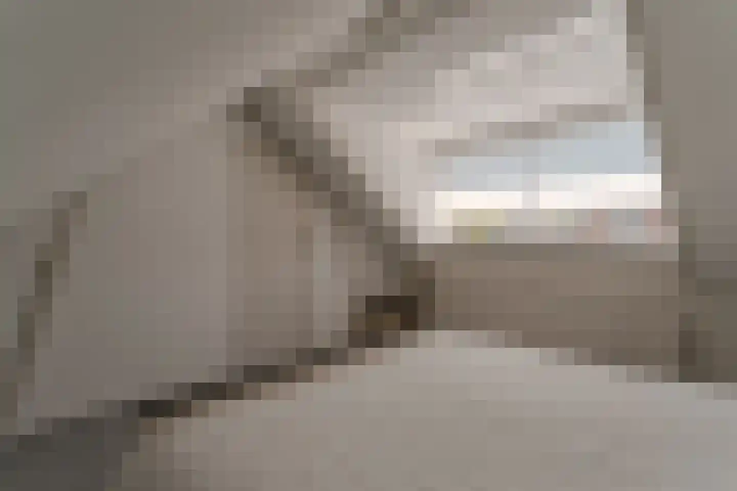 Nieuwe Komstraat 37 Lobith thumbnail 55