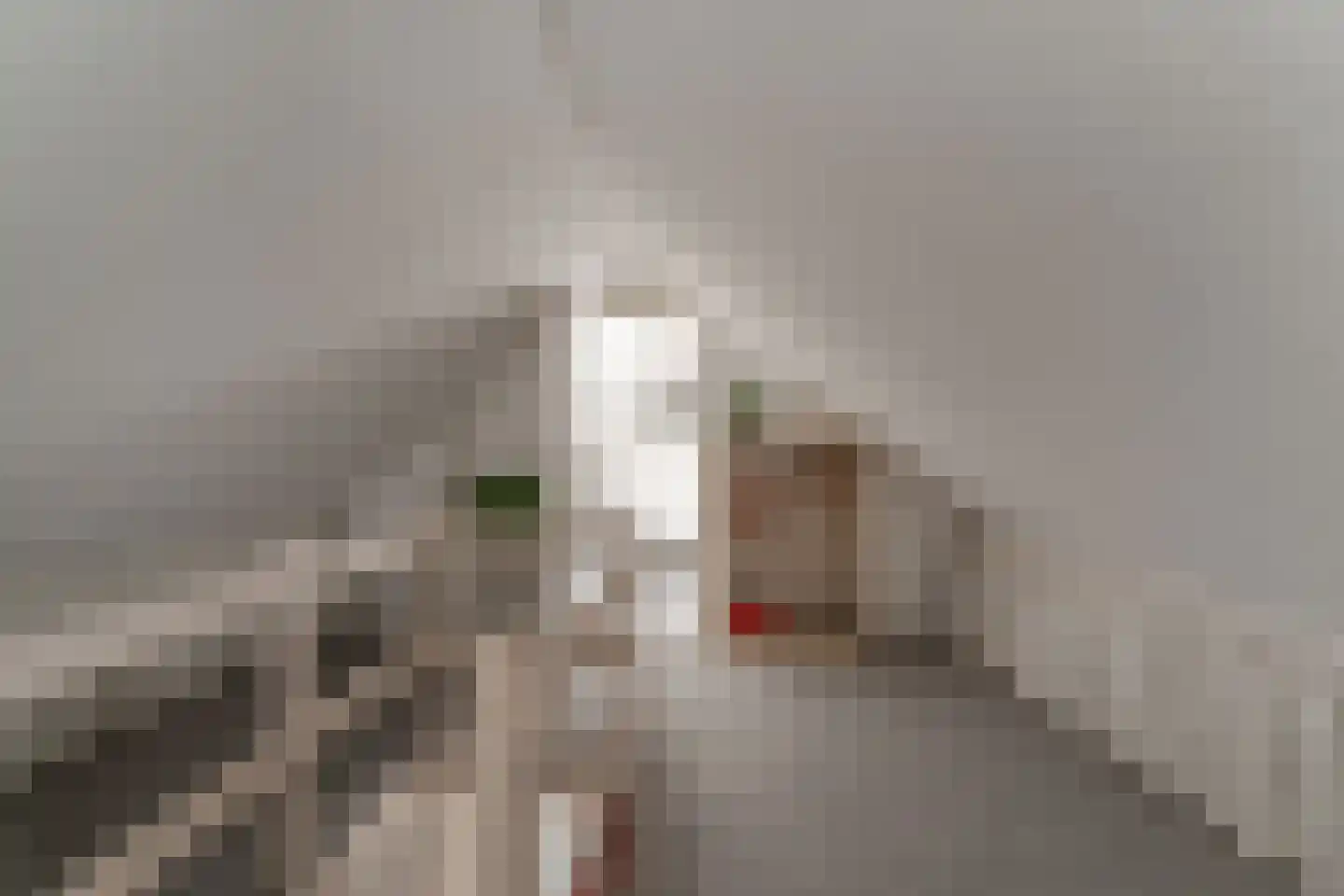Nieuwe Komstraat 37 Lobith thumbnail 56