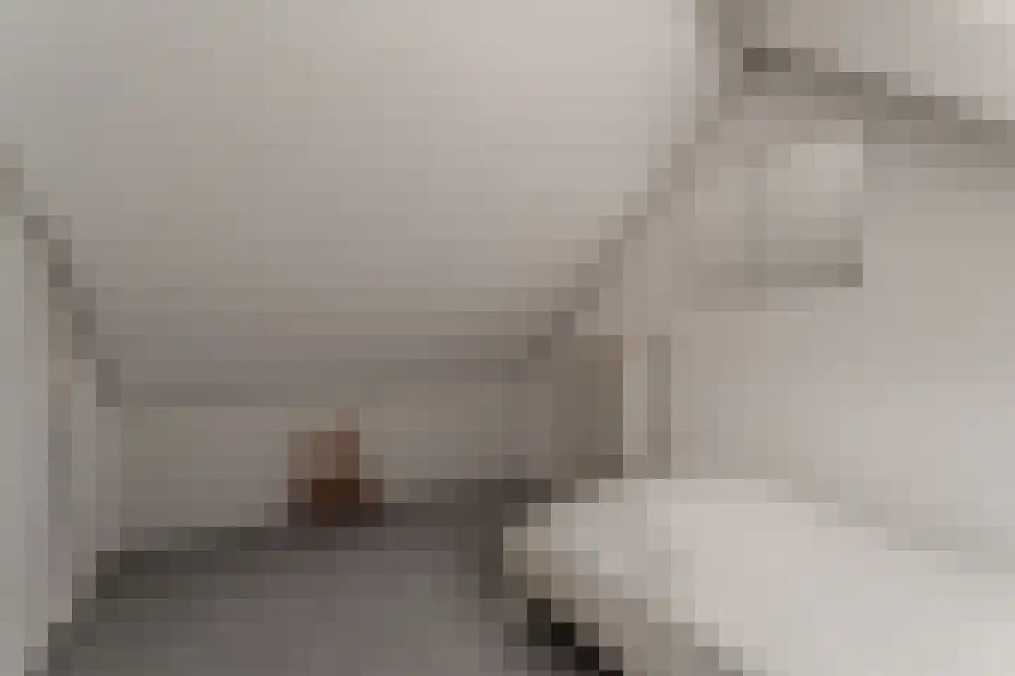 Nieuwe Komstraat 37 Lobith thumbnail 58