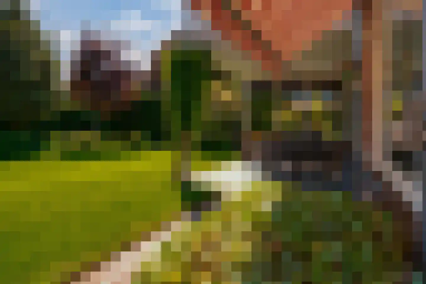 Nieuwe Komstraat 37 Lobith thumbnail 59