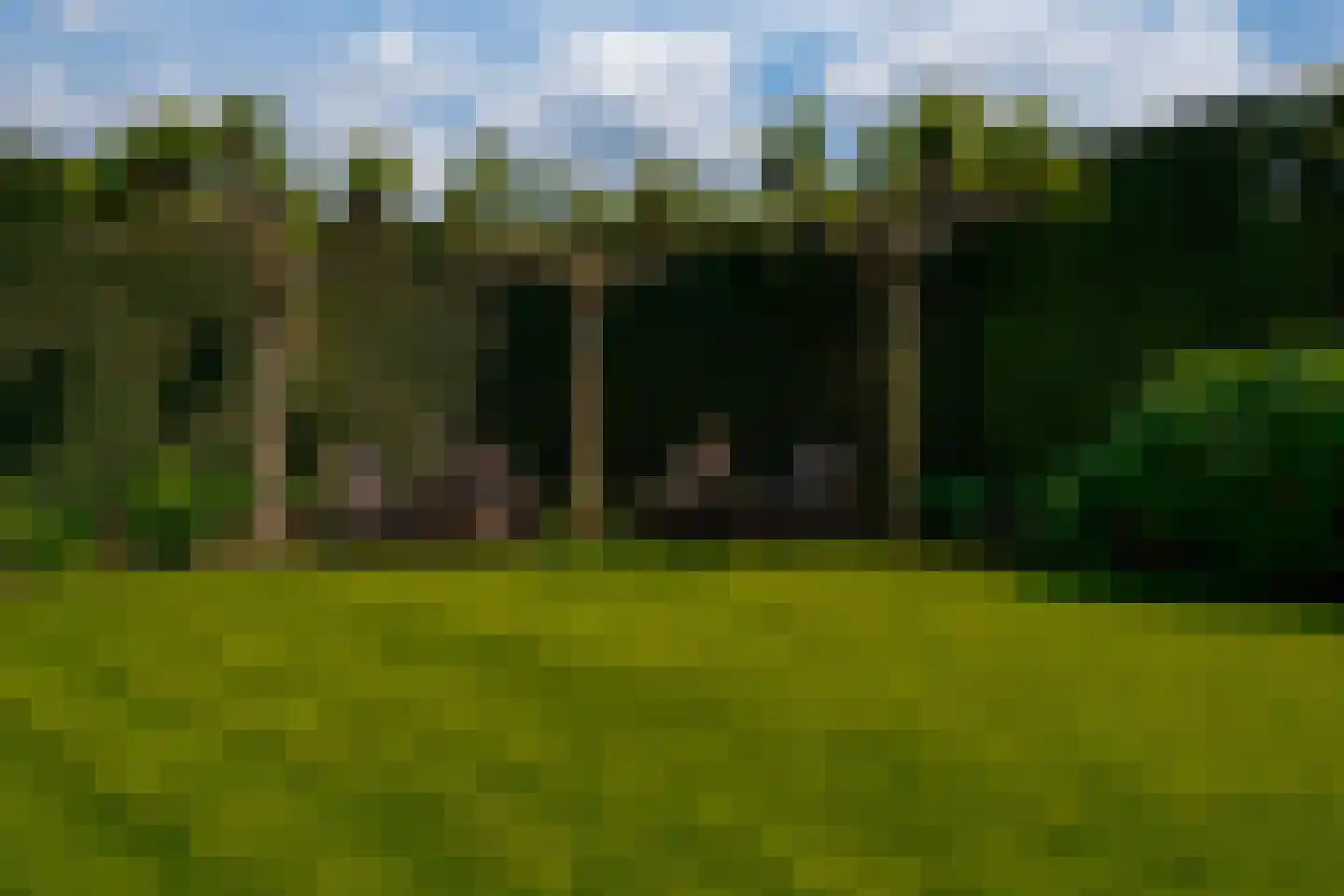 Nieuwe Komstraat 37 Lobith thumbnail 60