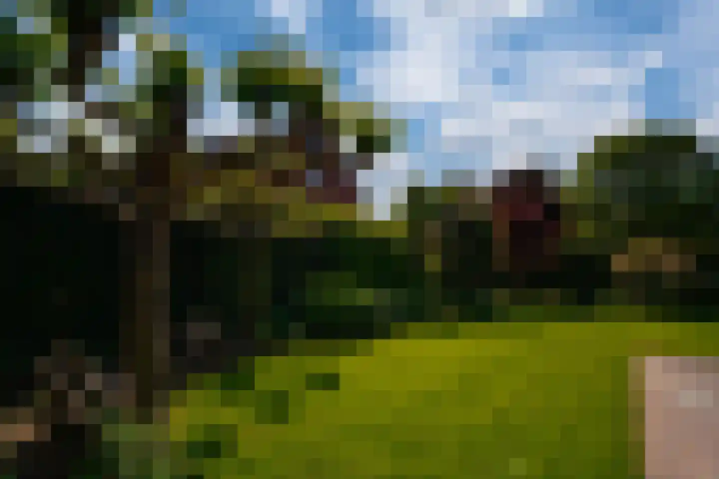 Nieuwe Komstraat 37 Lobith thumbnail 61
