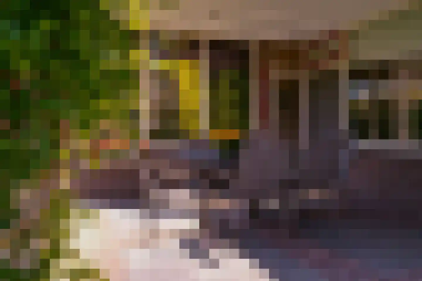 Nieuwe Komstraat 37 Lobith thumbnail 64
