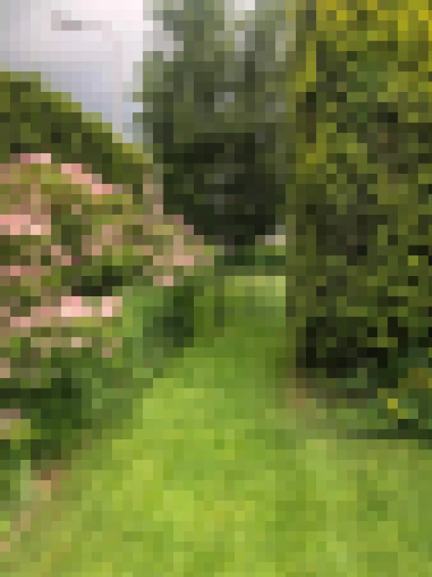 Nieuwe Komstraat 37 Lobith thumbnail 67