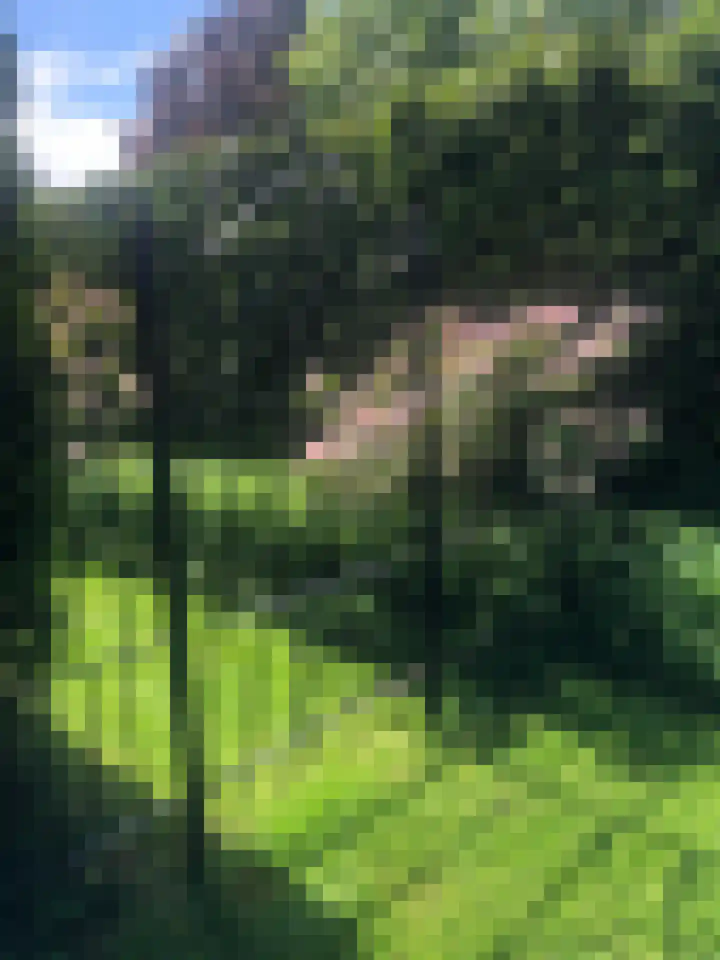 Nieuwe Komstraat 37 Lobith thumbnail 68