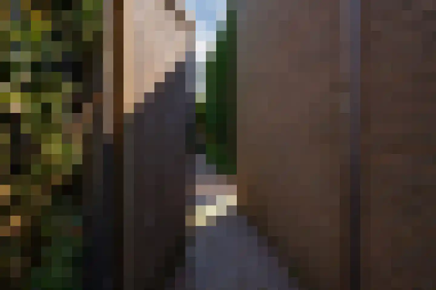 Nieuwe Komstraat 37 Lobith thumbnail 69