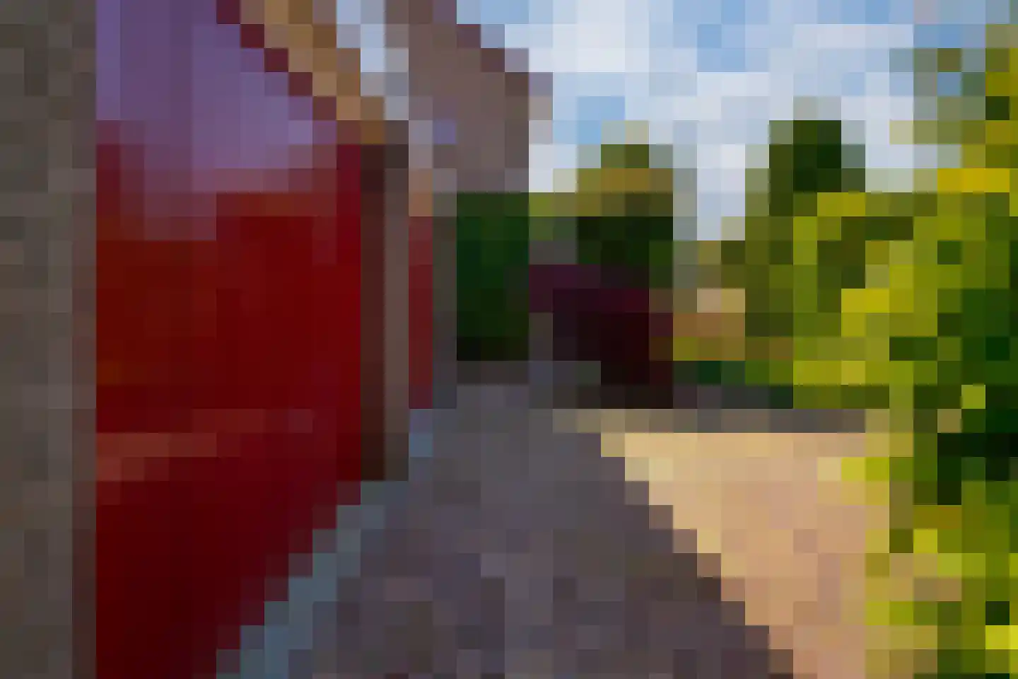 Nieuwe Komstraat 37 Lobith thumbnail 9