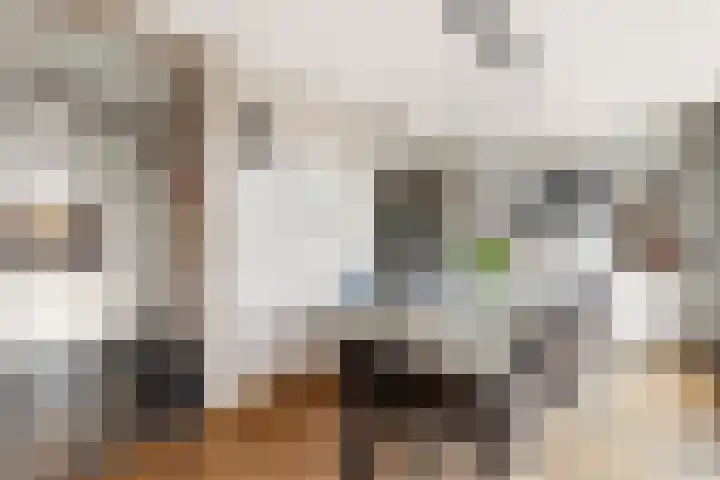 Nieuwe Komstraat 5 Lobith thumbnail 21