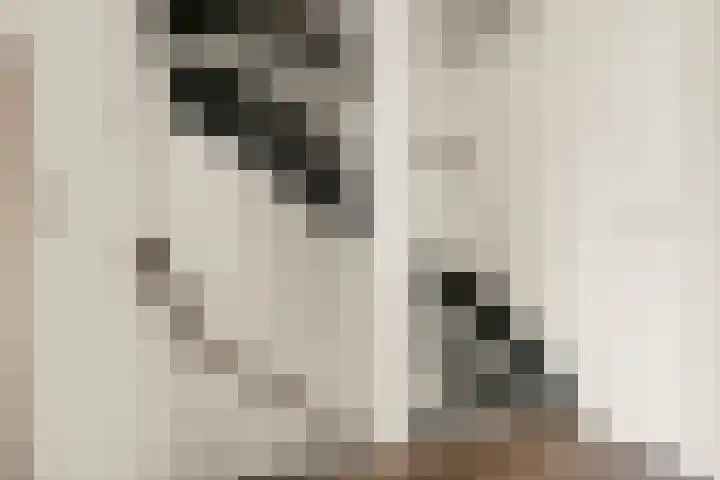 Nieuwe Komstraat 5 Lobith thumbnail 22