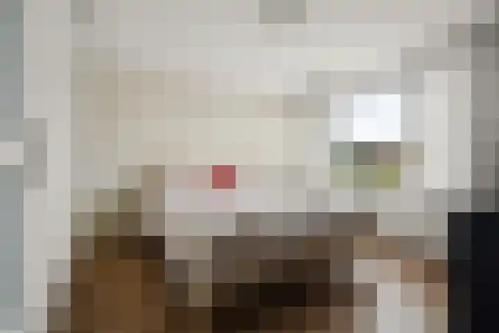 Nieuwe Komstraat 5 Lobith thumbnail 24