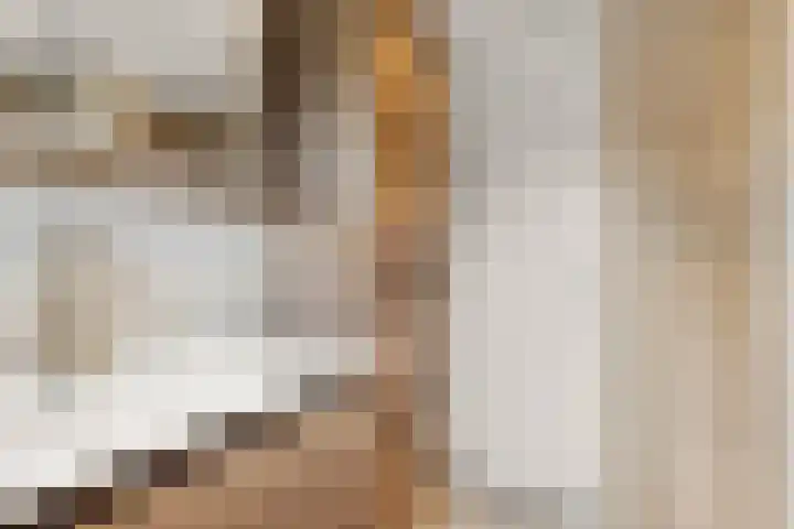 Nieuwe Komstraat 5 Lobith thumbnail 32