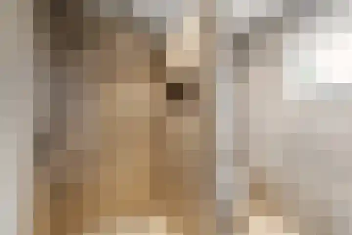 Nieuwe Komstraat 5 Lobith thumbnail 33
