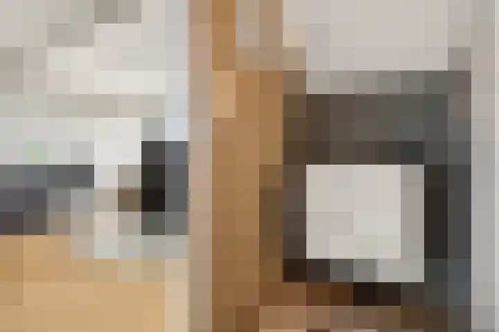 Nieuwe Komstraat 5 Lobith thumbnail 35