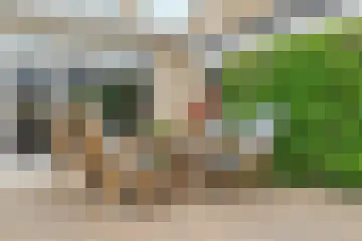 Nieuwe Komstraat 5 Lobith thumbnail 38