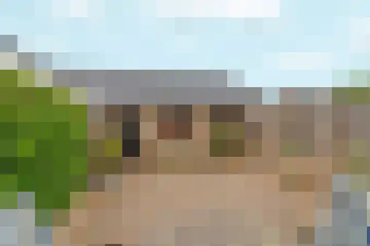 Nieuwe Komstraat 5 Lobith thumbnail 39