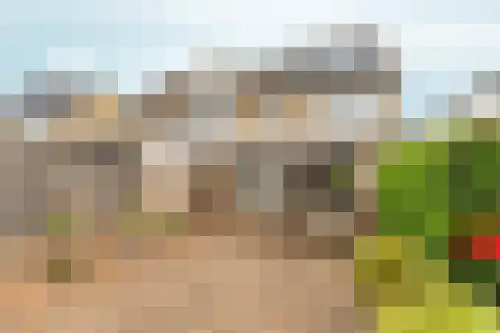 Nieuwe Komstraat 5 Lobith thumbnail 41
