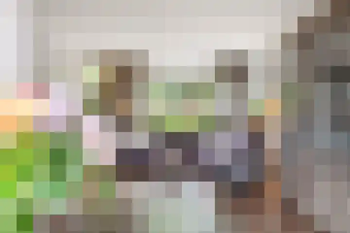 Nieuwe Komstraat 5 Lobith thumbnail 5