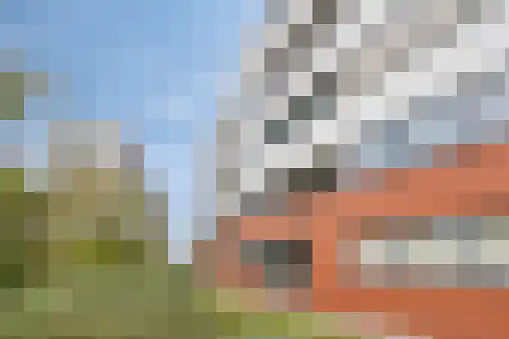 Nieuwe Koningstraat 251 Leiden thumbnail 10