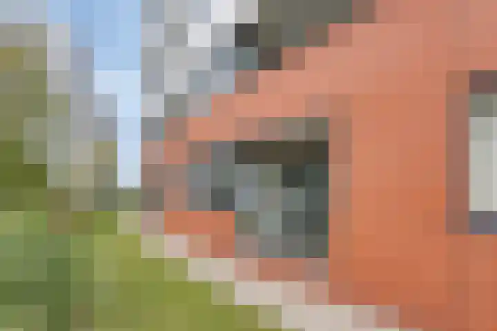 Nieuwe Koningstraat 251 Leiden thumbnail 11