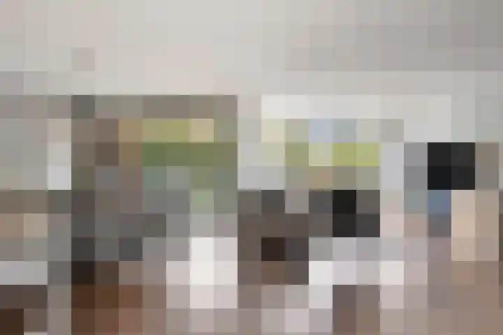 Nieuwe Koningstraat 251 Leiden thumbnail 15