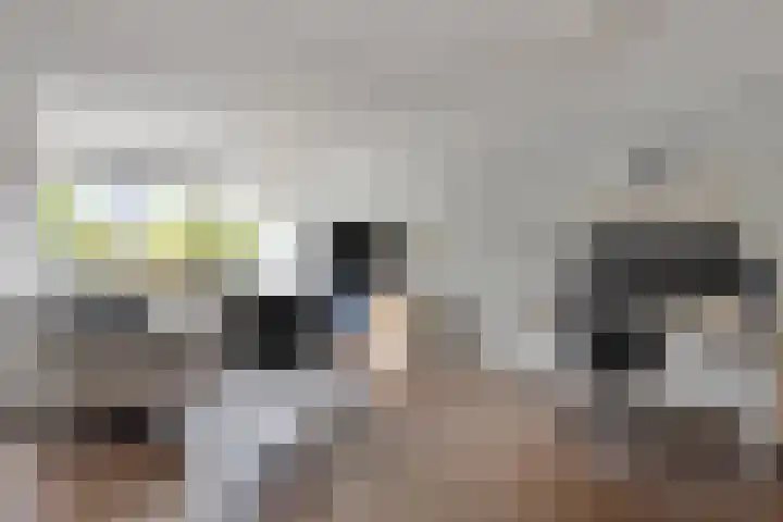 Nieuwe Koningstraat 251 Leiden thumbnail 17