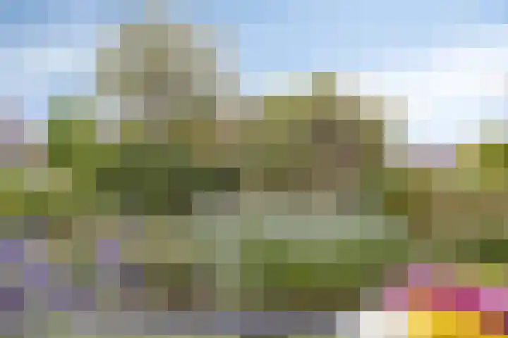 Nieuwe Koningstraat 251 Leiden thumbnail 37