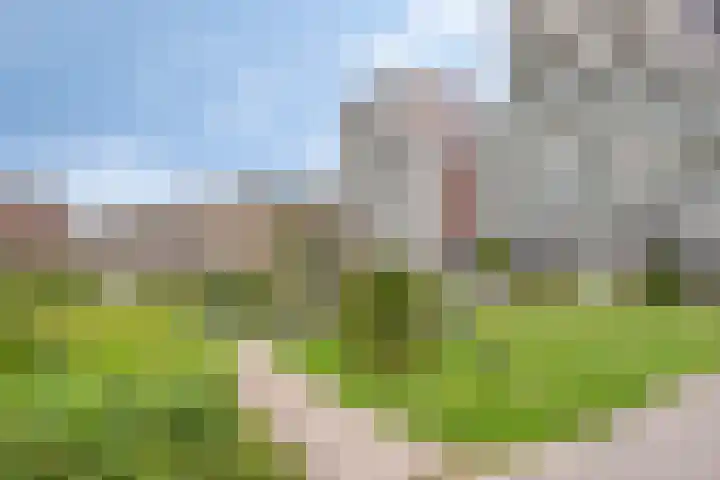 Nieuwe Koningstraat 251 Leiden thumbnail 38