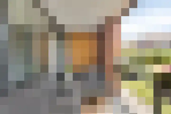 Nieuwe Koningstraat 251 Leiden thumbnail 6