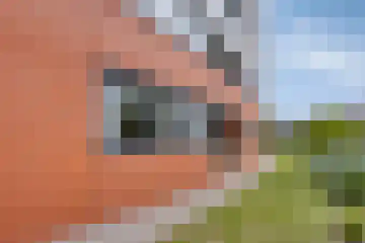 Nieuwe Koningstraat 251 Leiden thumbnail 9