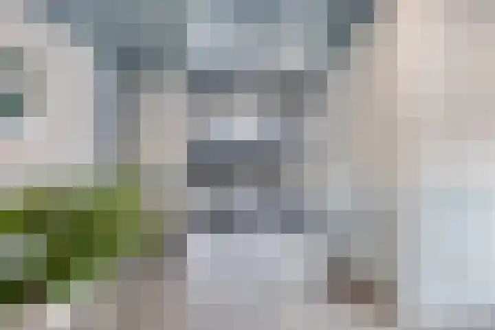 Nieuwe Koningstraat 299 Leiden thumbnail 10