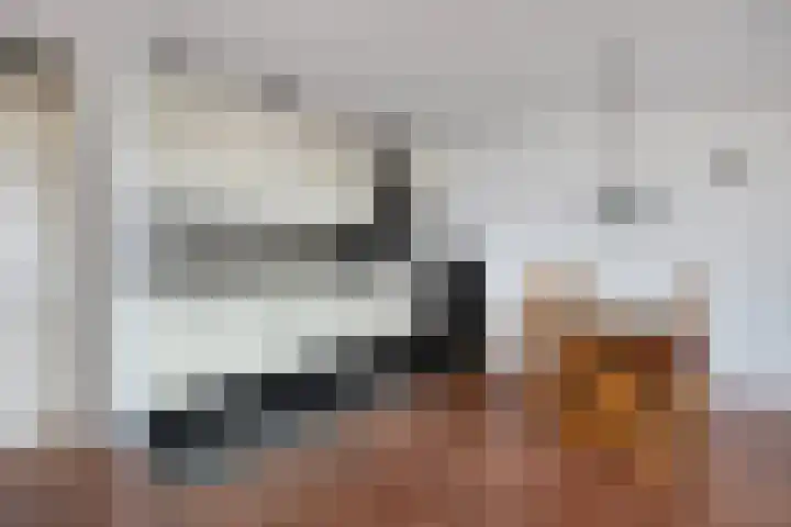 Nieuwe Koningstraat 299 Leiden thumbnail 20