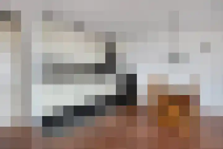 Nieuwe Koningstraat 299 Leiden thumbnail 4