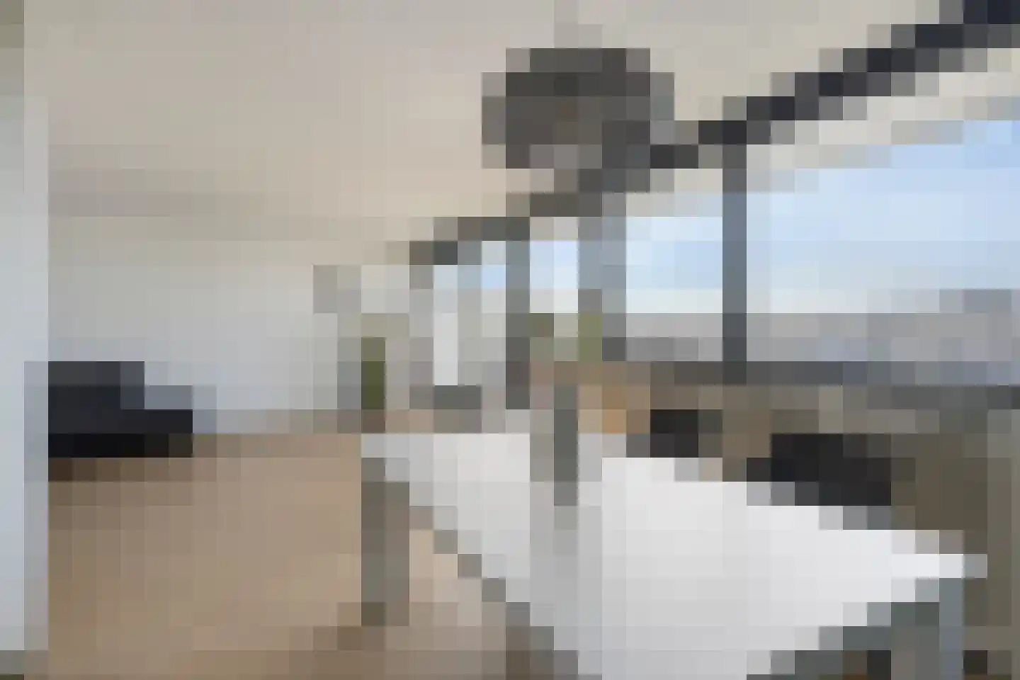Nieuwe Koningstraat 341 Leiden thumbnail 17