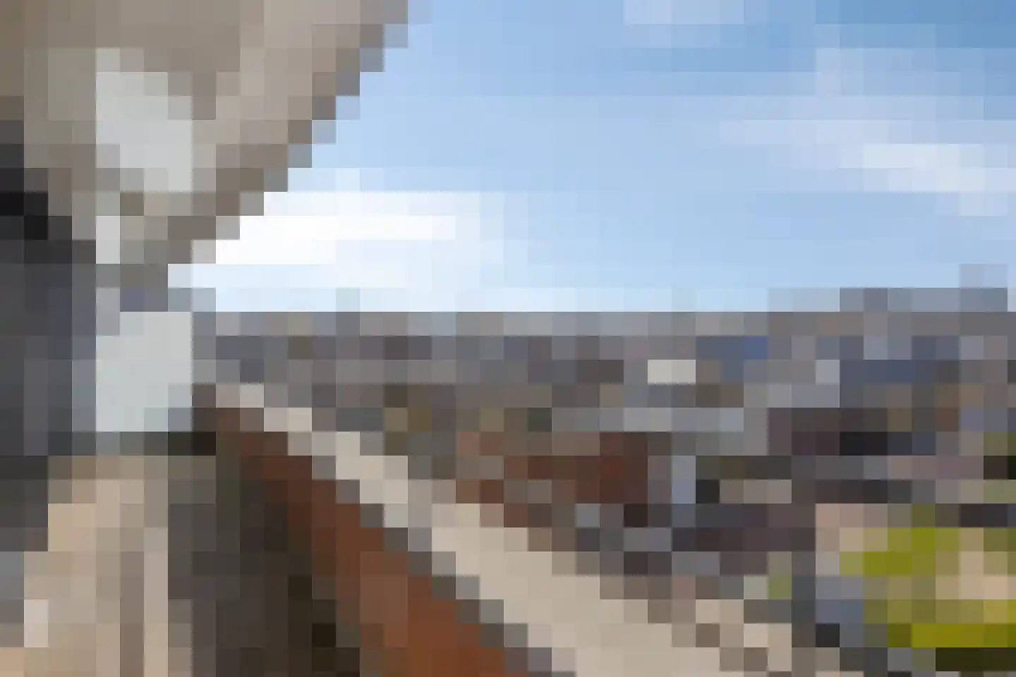 Nieuwe Koningstraat 341 Leiden thumbnail 28