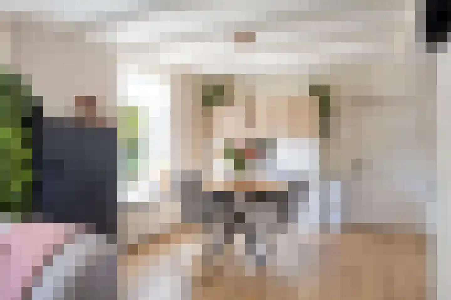 Nieuwe Kraaijertsedijk 23 's-Heer Arendskerke thumbnail 10