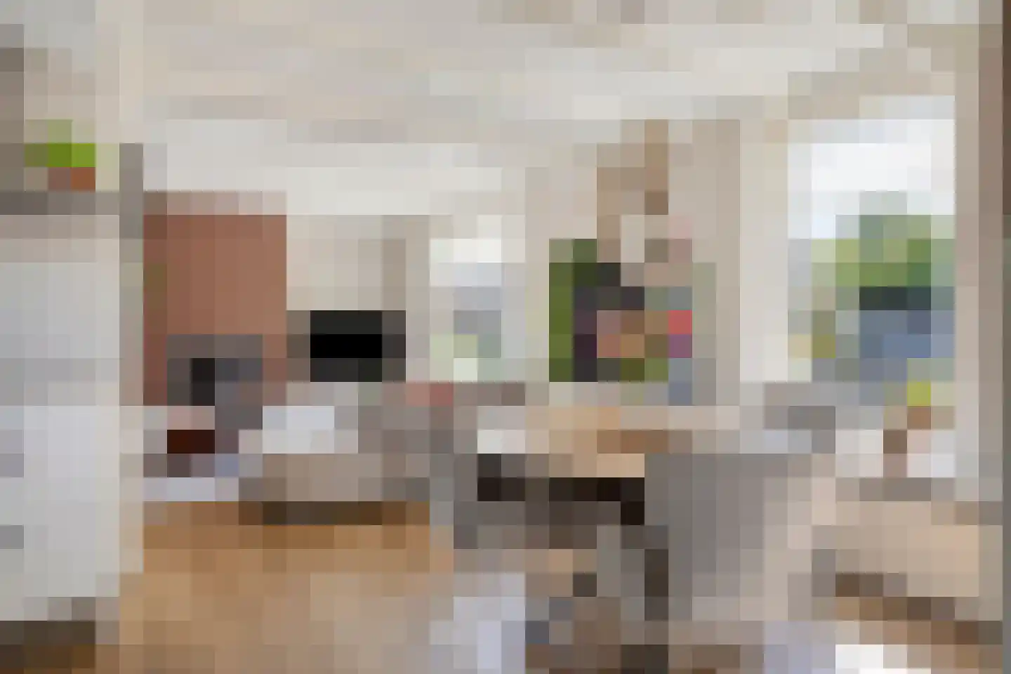 Nieuwe Kraaijertsedijk 23 's-Heer Arendskerke thumbnail 11