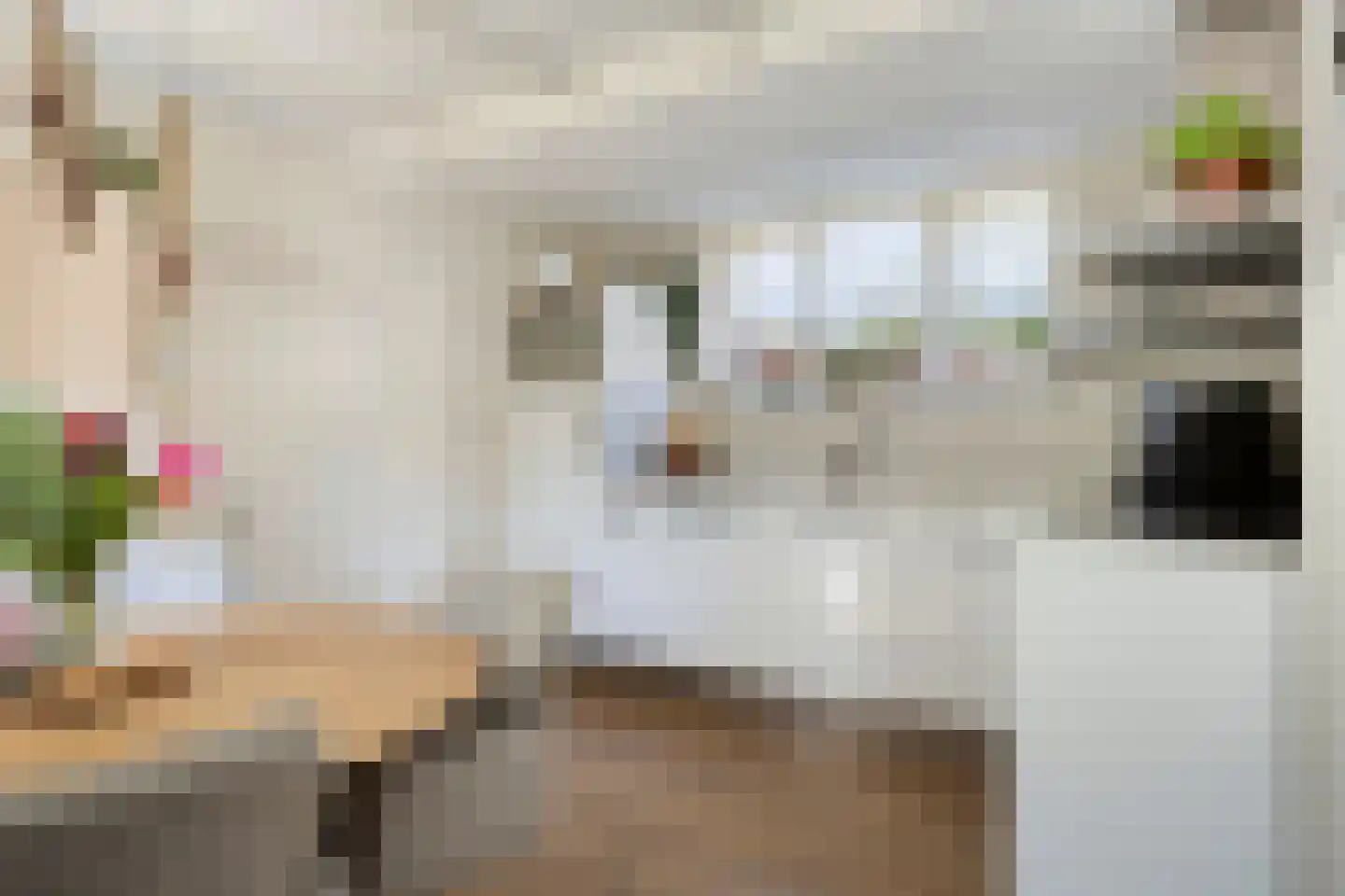 Nieuwe Kraaijertsedijk 23 's-Heer Arendskerke thumbnail 12