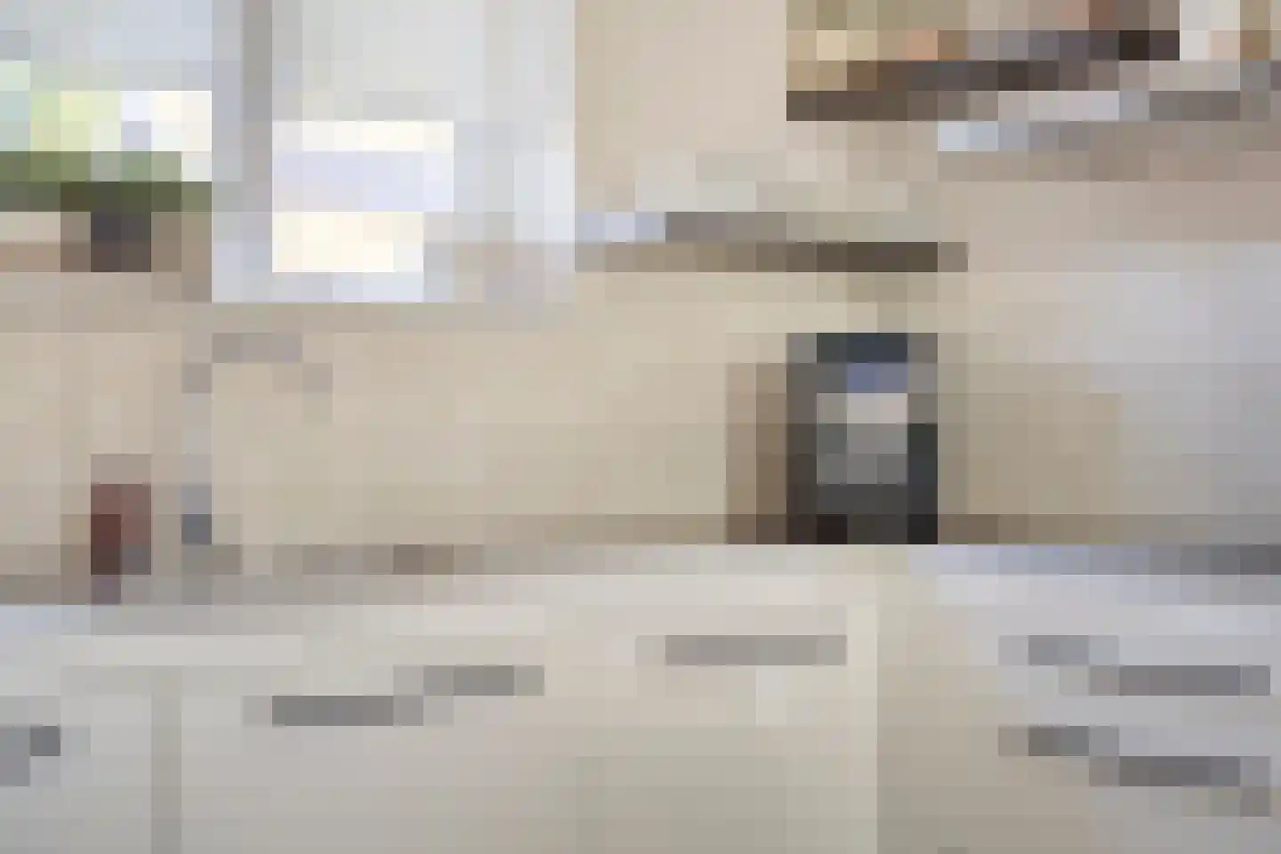Nieuwe Kraaijertsedijk 23 's-Heer Arendskerke thumbnail 13