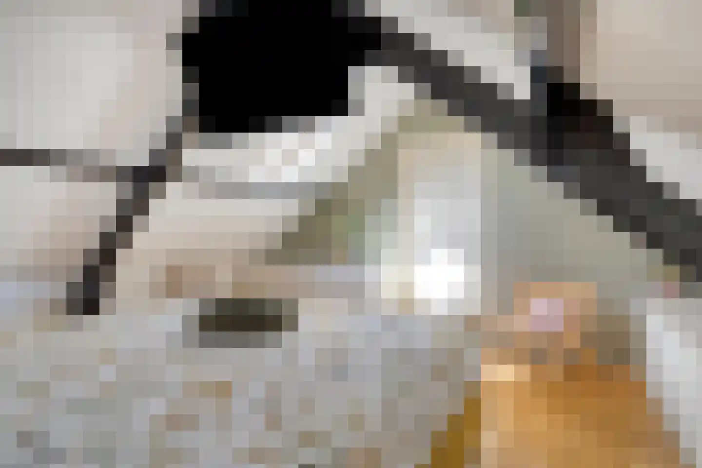 Nieuwe Kraaijertsedijk 23 's-Heer Arendskerke thumbnail 18