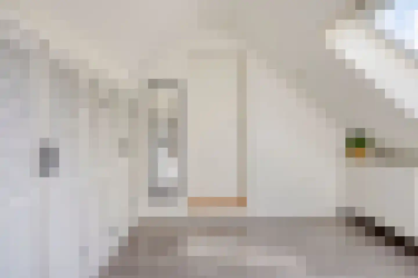 Nieuwe Kraaijertsedijk 23 's-Heer Arendskerke thumbnail 20