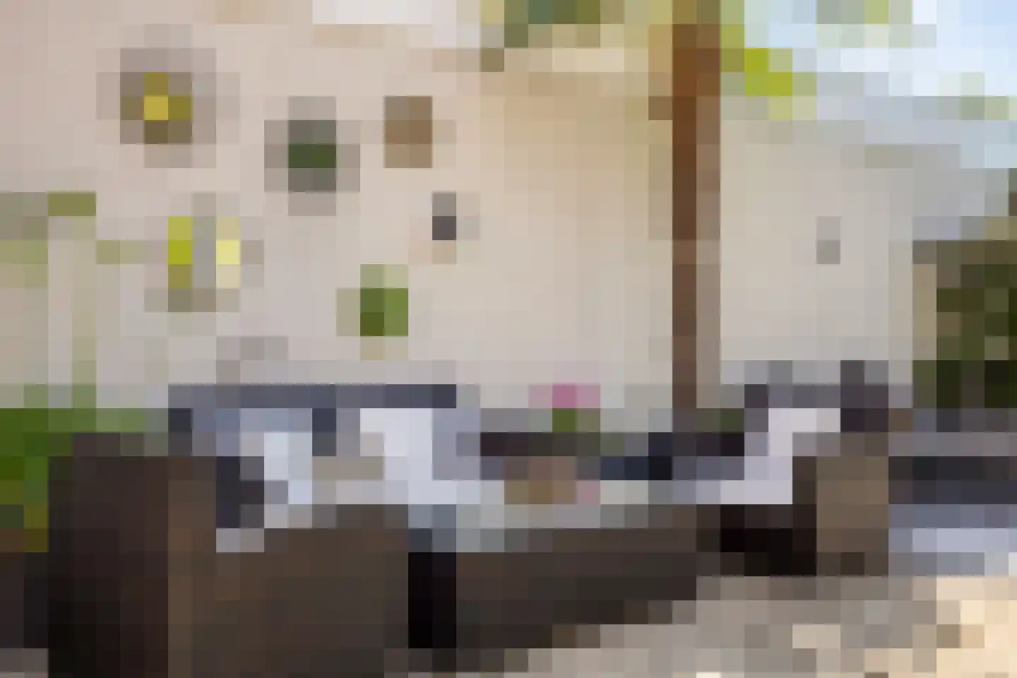 Nieuwe Kraaijertsedijk 23 's-Heer Arendskerke thumbnail 24
